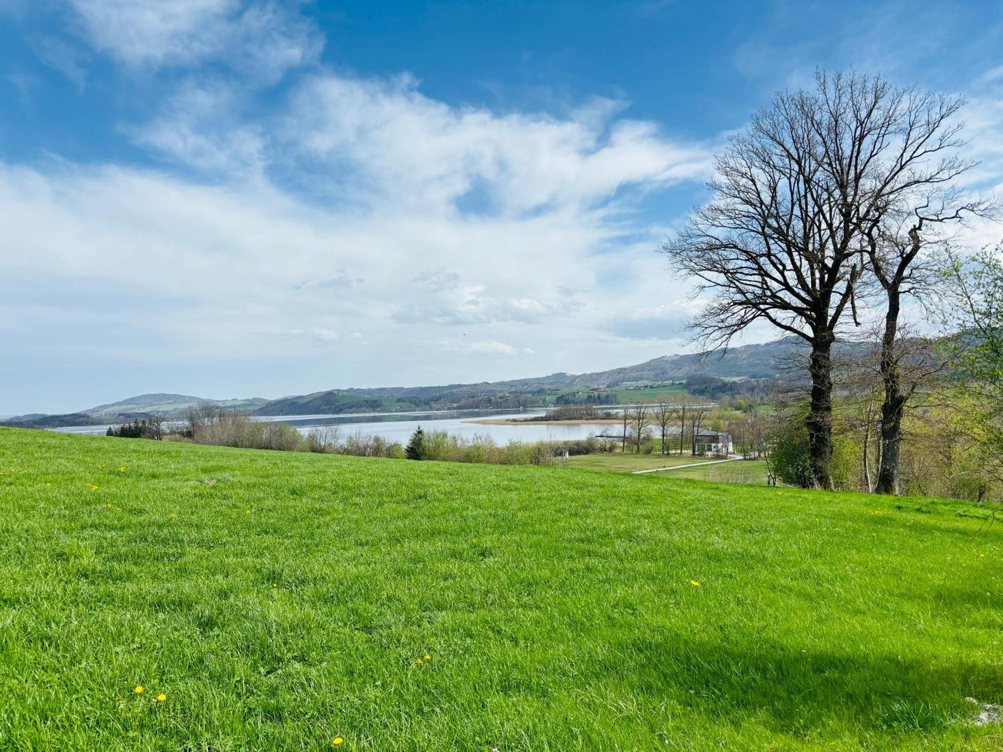 Gaesthaus "Seeblick" Seekirchen am Wallersee Buitenkant foto